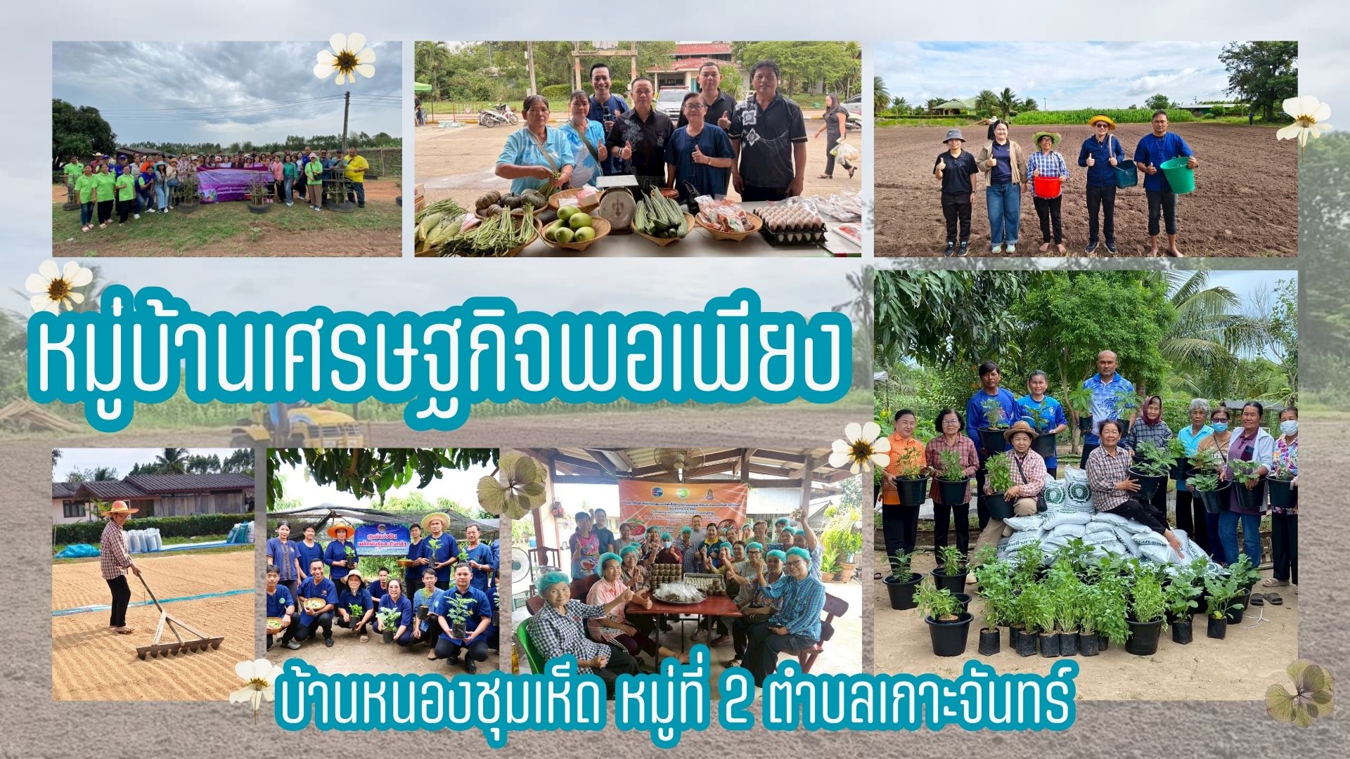 🥦🥬🥔 การขับเคลื่อนกิจกรรมหมู่บ้านเศรษฐกิจพอเพียง บ้านหนองชุมเห็ด หมู่ที่ 2 ตำบลเกาะจันทร์ อำเภอเกาะจันทร์ จังหวัดชลบุรี🌶️🫑🌽🥕